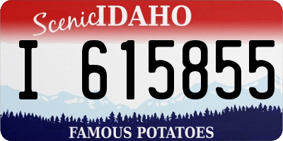 ID license plate I615855