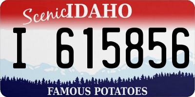 ID license plate I615856
