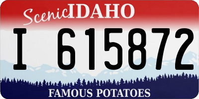 ID license plate I615872
