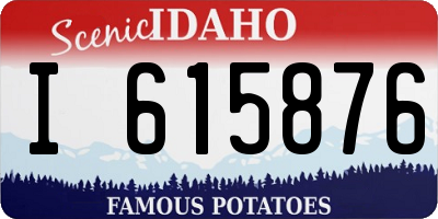 ID license plate I615876