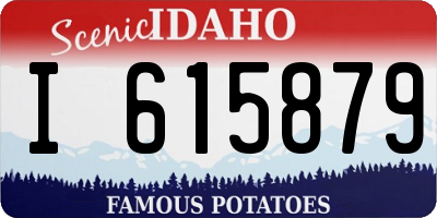 ID license plate I615879
