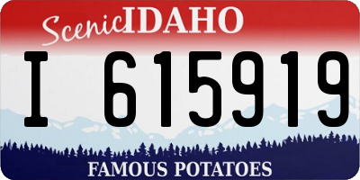 ID license plate I615919