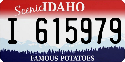 ID license plate I615979