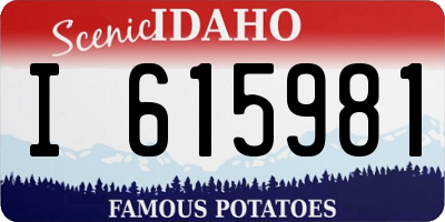 ID license plate I615981