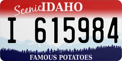 ID license plate I615984