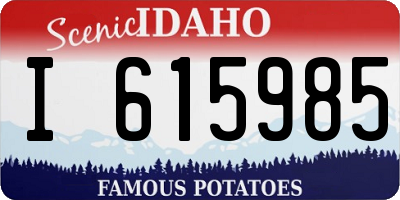 ID license plate I615985