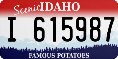 ID license plate I615987