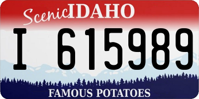 ID license plate I615989