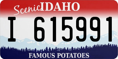 ID license plate I615991