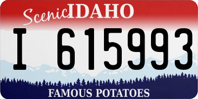ID license plate I615993