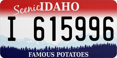 ID license plate I615996