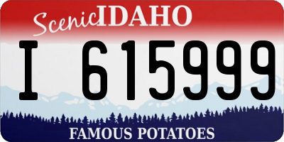 ID license plate I615999