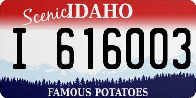 ID license plate I616003