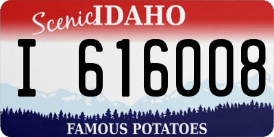 ID license plate I616008