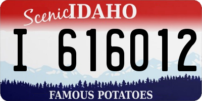 ID license plate I616012