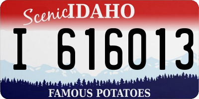 ID license plate I616013