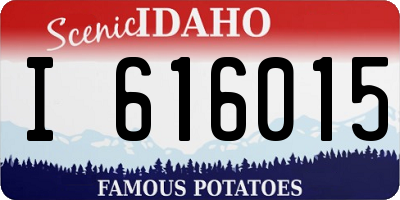 ID license plate I616015