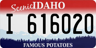 ID license plate I616020