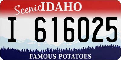 ID license plate I616025