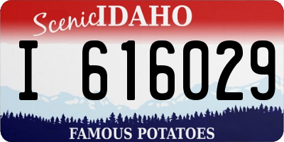 ID license plate I616029