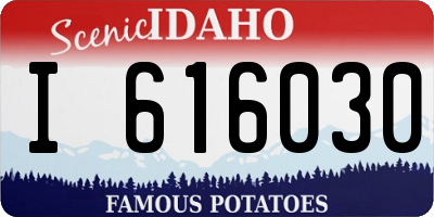 ID license plate I616030