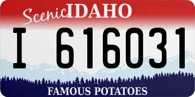 ID license plate I616031