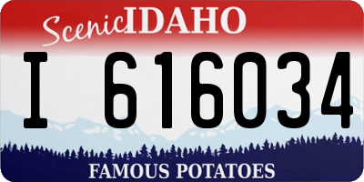 ID license plate I616034