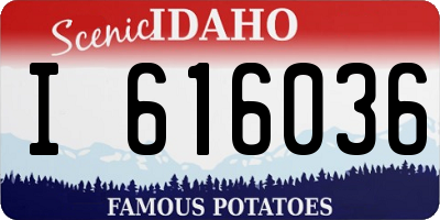 ID license plate I616036