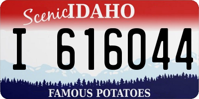 ID license plate I616044
