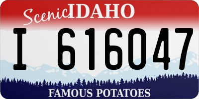 ID license plate I616047