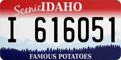 ID license plate I616051