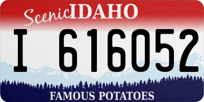 ID license plate I616052