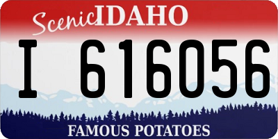 ID license plate I616056