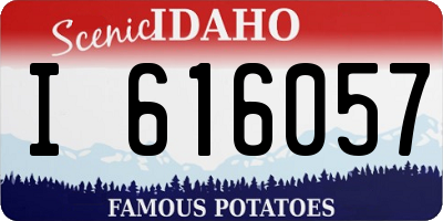 ID license plate I616057