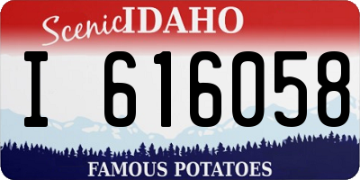 ID license plate I616058
