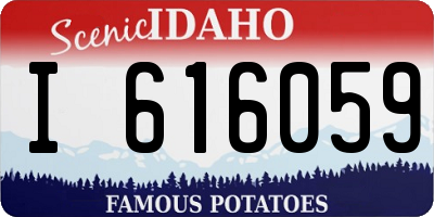 ID license plate I616059