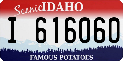 ID license plate I616060