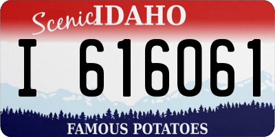 ID license plate I616061