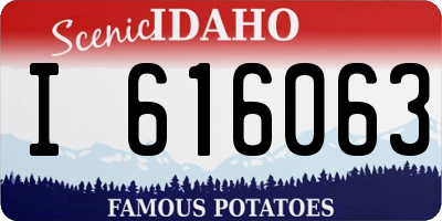 ID license plate I616063