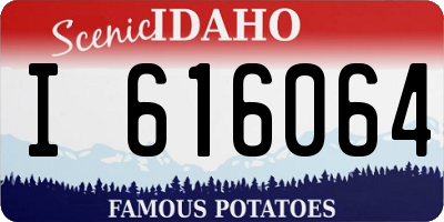 ID license plate I616064
