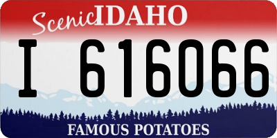 ID license plate I616066