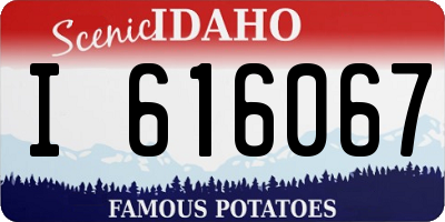 ID license plate I616067