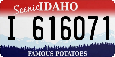 ID license plate I616071