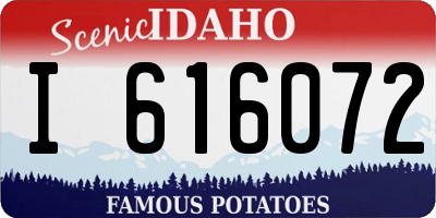 ID license plate I616072
