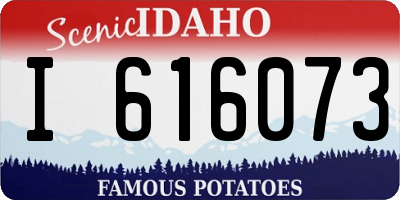 ID license plate I616073