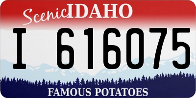 ID license plate I616075