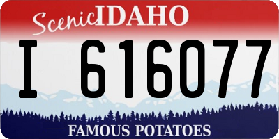 ID license plate I616077