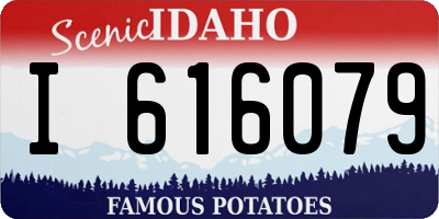 ID license plate I616079
