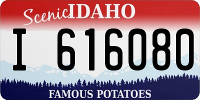 ID license plate I616080