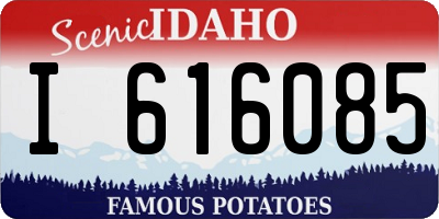 ID license plate I616085